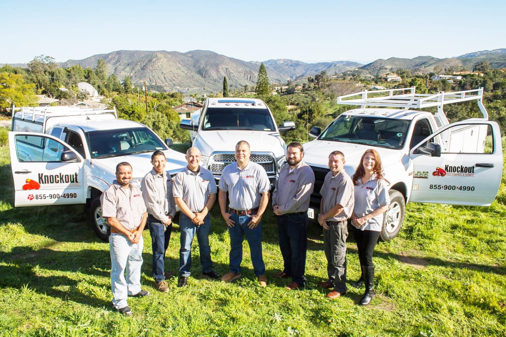 Industry Insiders: Interview with Chase Massey of Knockout Pest Control & Termite in Temecula, California