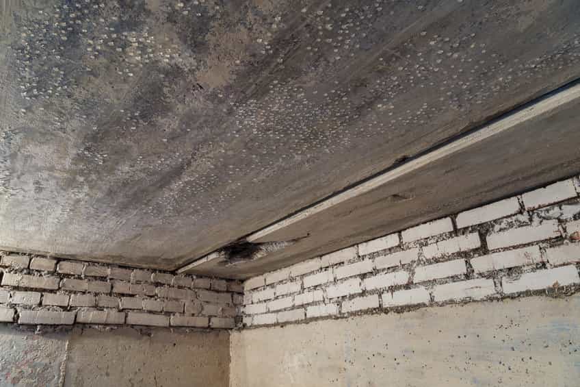 Is Basement Waterproofing Necessary for an Indianapolis Home?
