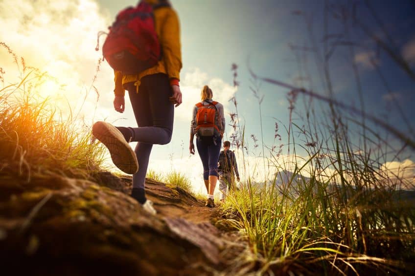 The Science Behind Movement-Based Recovery: How Physical Activity Rewires the Brain After Addiction